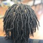 Loc Coils / Starter loc