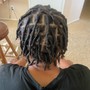 Loc Maintenance (retwist)