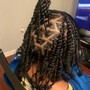 Two strand twist natural hair