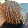 Starter locs