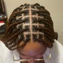 Individual Braids