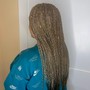 Box Braids