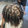 Starter locs