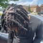 Starter locs