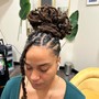 Butterfly Locs