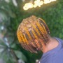 Full Highlights Locs