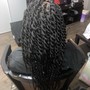 Passion/Spring Twists