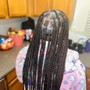 Kid's Braids