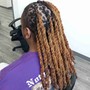 3hr Traditional Loc Maintenance/Style