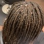 Small Box Braids