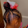 Braided Pony Tail