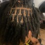 Starter Locs-Comb Coils