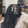 Havana Twists