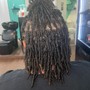 Starter Locs ( Midback)