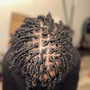 retwists