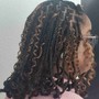 Kinky Twist (Large) (All Twist)