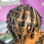 Starter locs