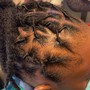 Starter Locs