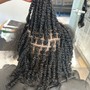 Starter Locs