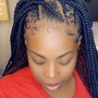 Poetic Justice Braids