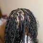 Small Knotless Box Braids