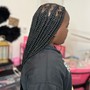 Ponytail Braids