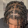 Starter Locs