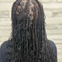 Havana Twists (Midback)