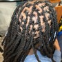 Partial Medium Plaits/ Individuals