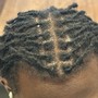 Havana Twists