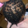 Butterfly Locs (Mid Back)