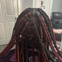 Starter Locs+ Loc Extensions