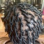 Starter locs