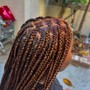 small Boho/ Goddess Braids