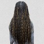 Kid's Braids (natural hair only)