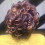 Roller Set w/Perm Rods