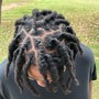 Kid's starter locs