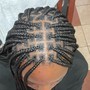 Fulani Braid