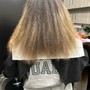 Women's Cut and Style