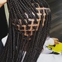 Tree Braids