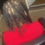 Starter Locs