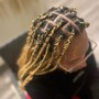 Starter Locs