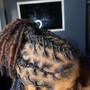 Loc Coils