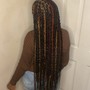 Medium Senegalese Twist