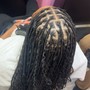 Havana Twists