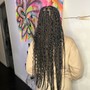 Starter locs ( two strand twist method )