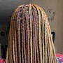 Small Butt Box Braids “butt length”