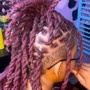 Starter locs ( two strand twist method )