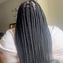 Goddess Locs (Mid Back)