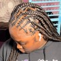 Starter locs ( two strand twist method )